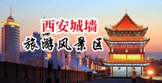 淫秽的骚逼中国陕西-西安城墙旅游风景区